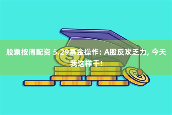 股票按周配资 5.29基金操作: A股反攻乏力, 今天我这样干!