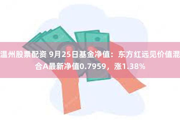 温州股票配资 9月25日基金净值：东方红远见价值混合A最新净值0.7959，涨1.38%