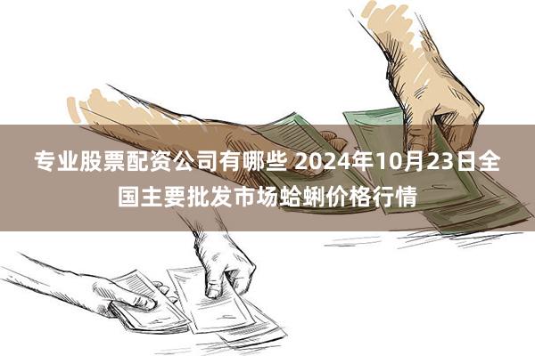 专业股票配资公司有哪些 2024年10月23日全国主要批发市场蛤蜊价格行情