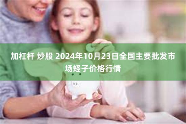 加杠杆 炒股 2024年10月23日全国主要批发市场蛏子价格行情