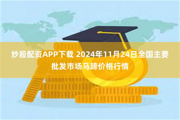 炒股配资APP下载 2024年11月24日全国主要批发市场马蹄价格行情