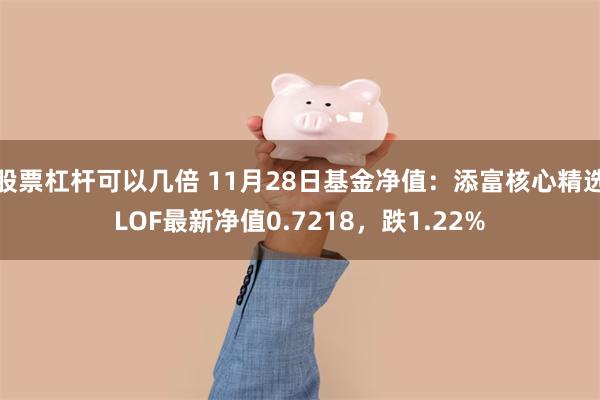 股票杠杆可以几倍 11月28日基金净值：添富核心精选LOF最新净值0.7218，跌1.22%