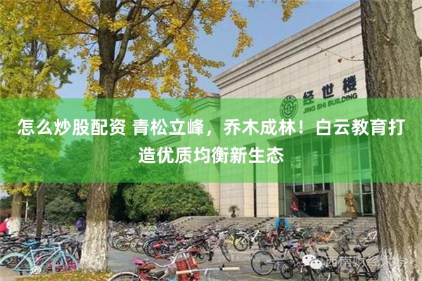 怎么炒股配资 青松立峰，乔木成林！白云教育打造优质均衡新生态